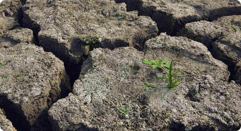 Nam sollicitudin ornare lectus, non pretium lectus pharetra non.